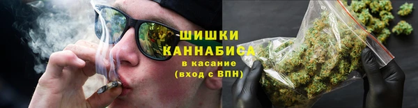 apvp Осинники